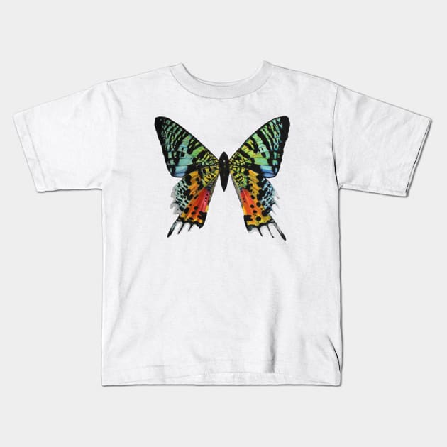 Madagascan Sunset Moth Kids T-Shirt by Rachellily